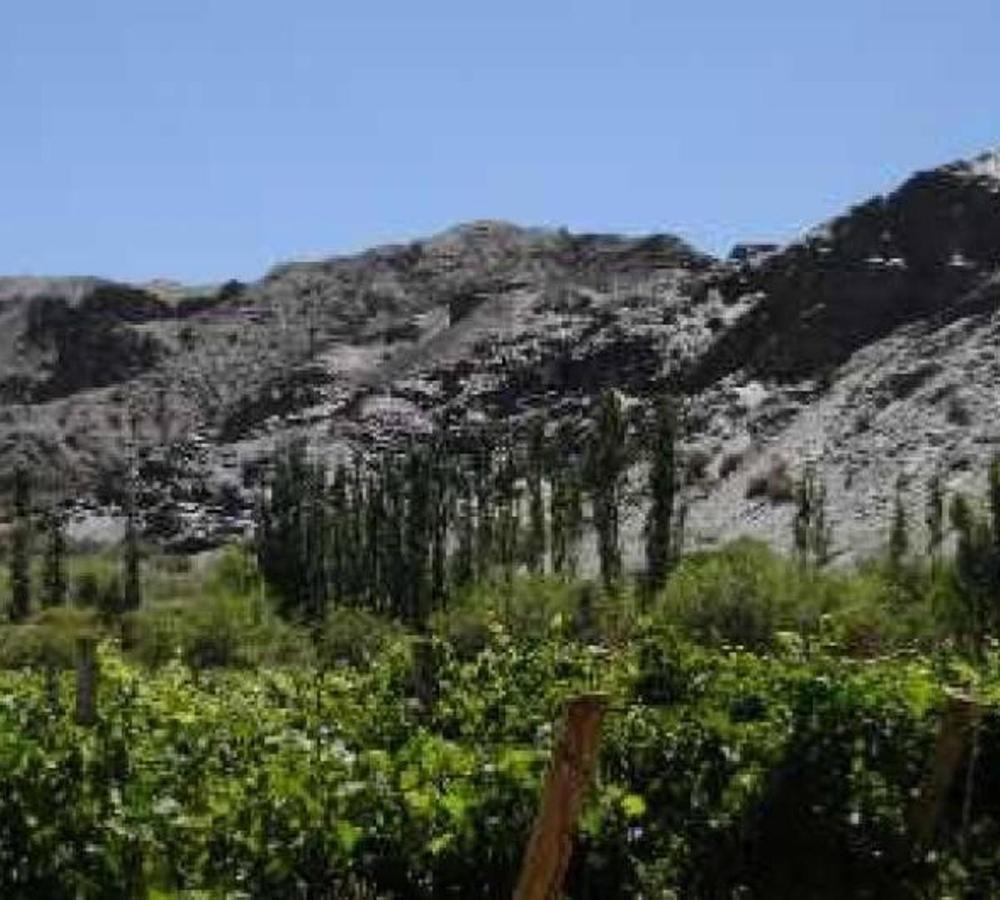 image 35