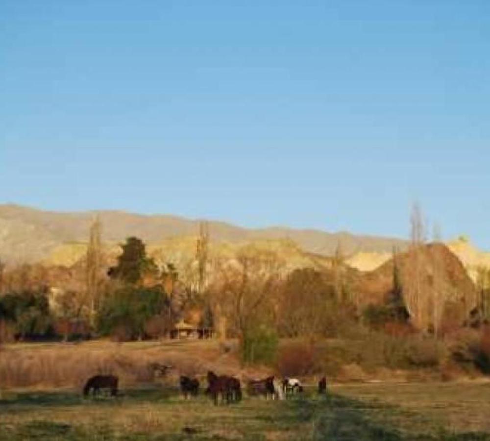 image 36