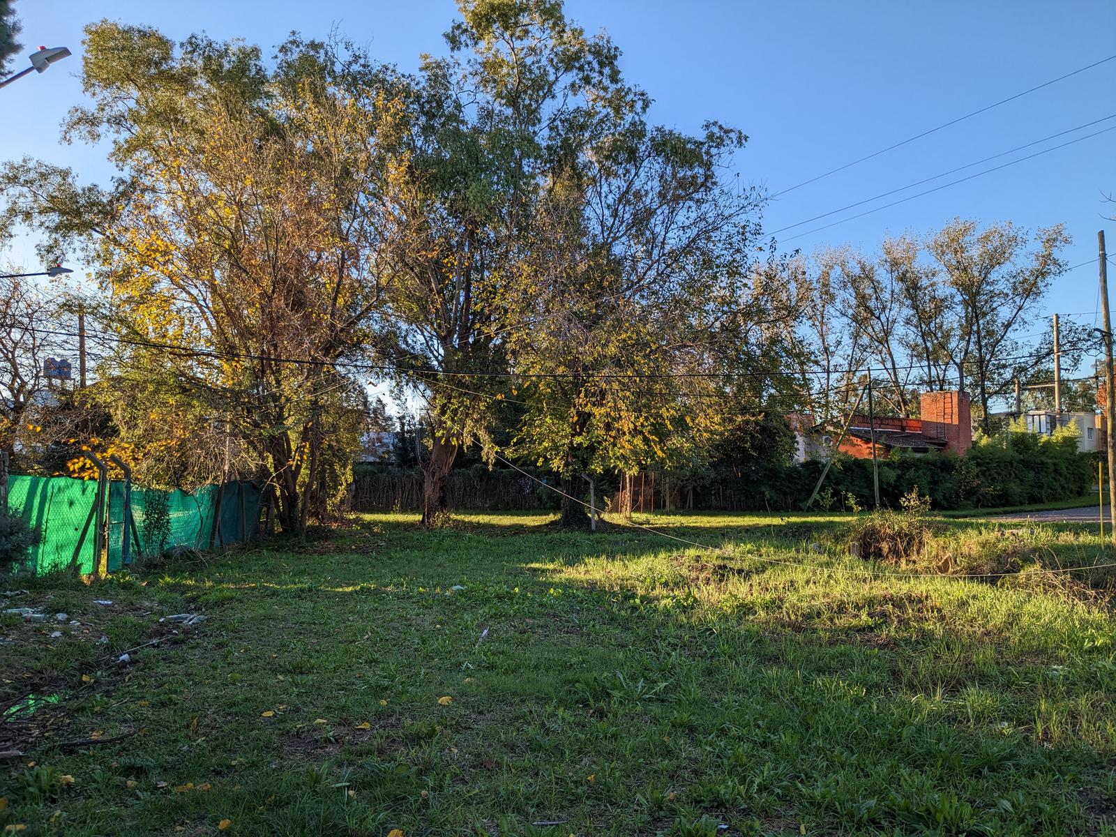 image 13