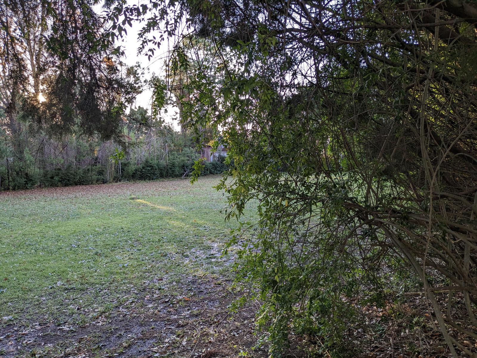 image 14