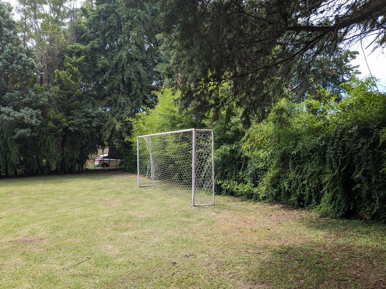 image 17