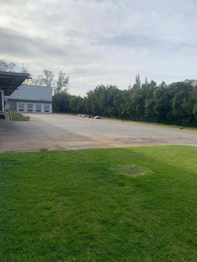 image 15