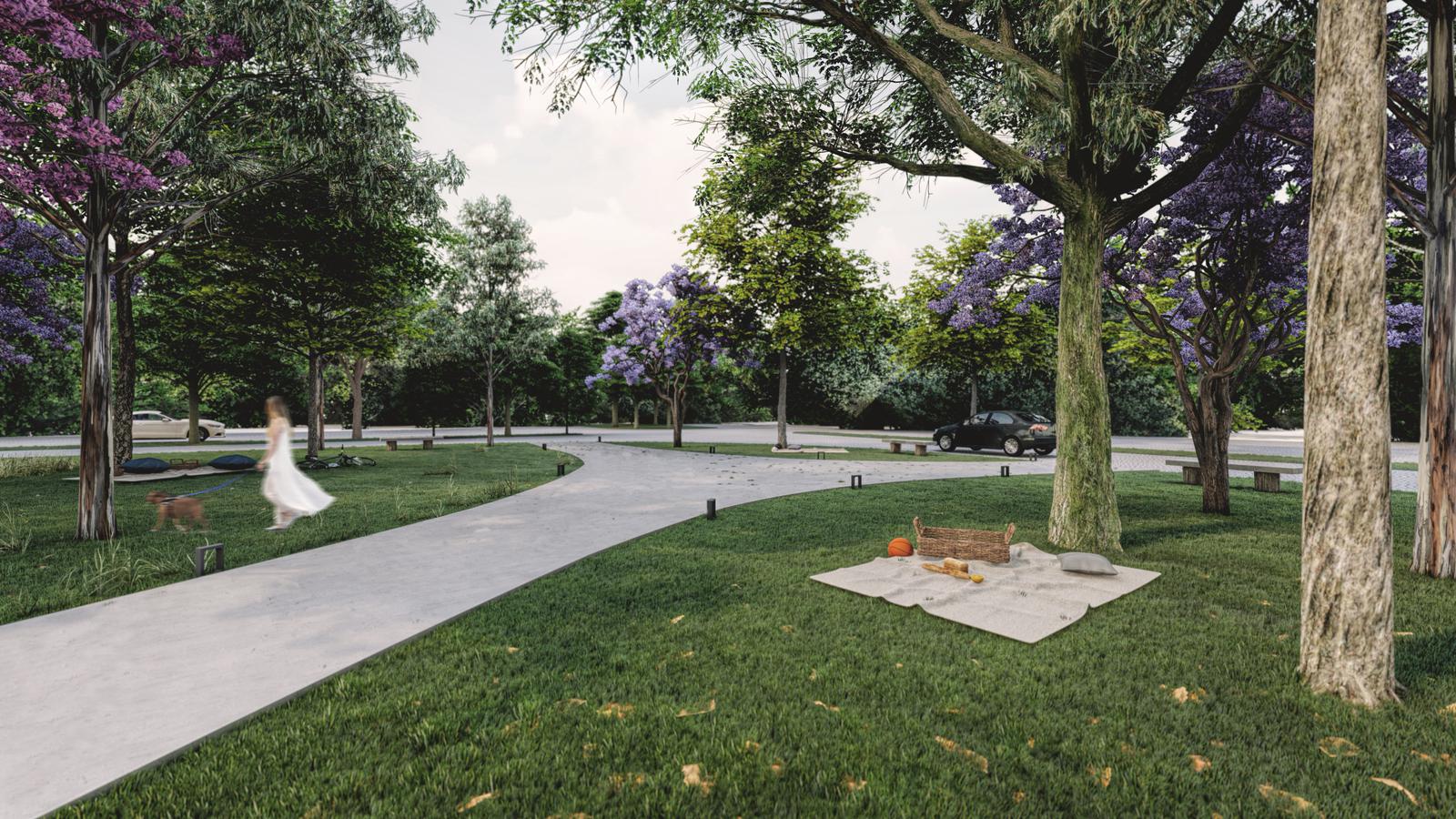 image 39