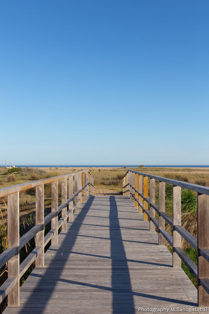 image 32