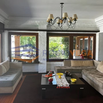 1707330275.jpg