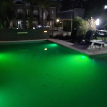 1708435495.jpg