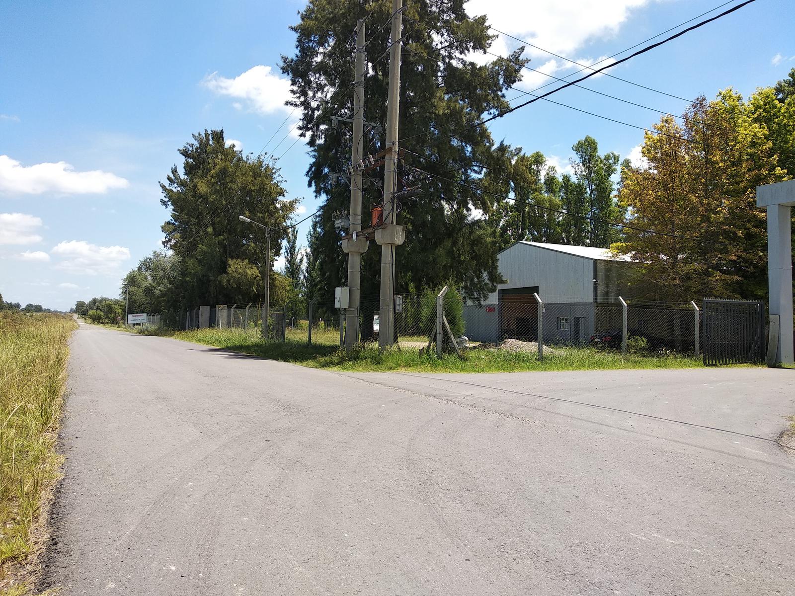 image 14
