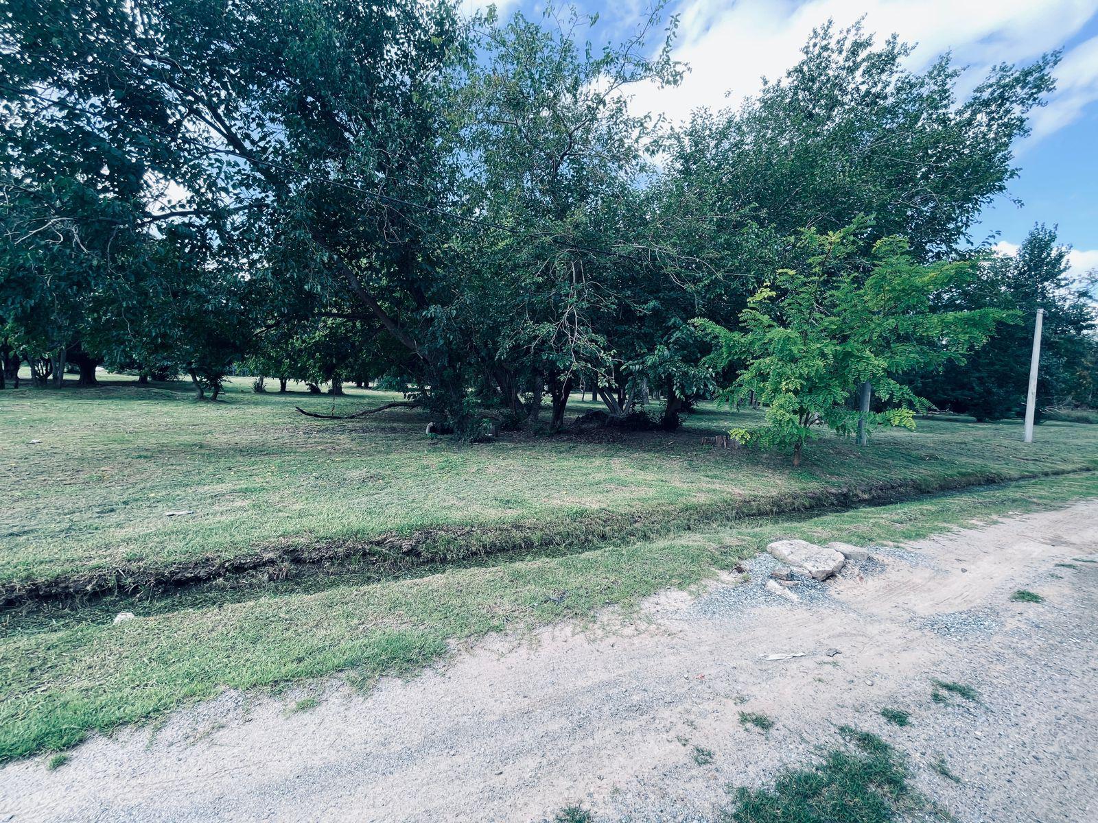 image 16