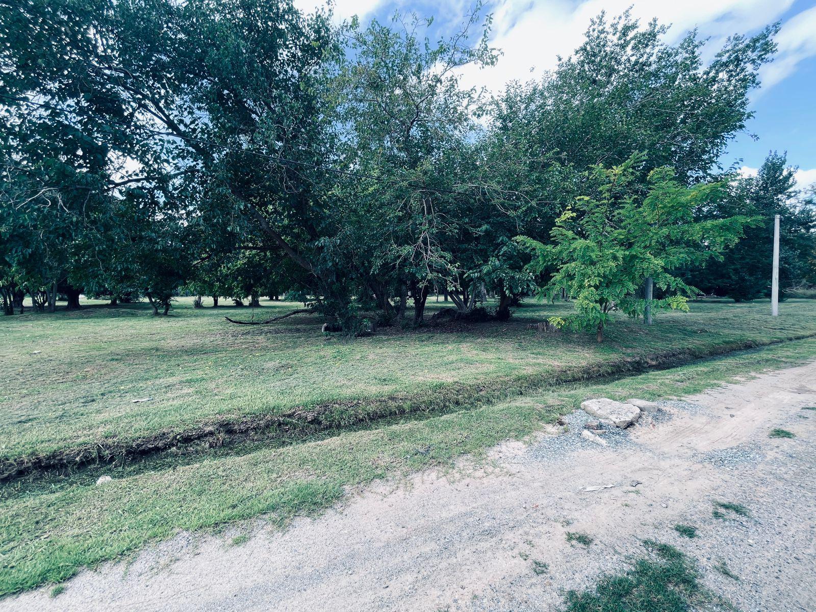 image 17