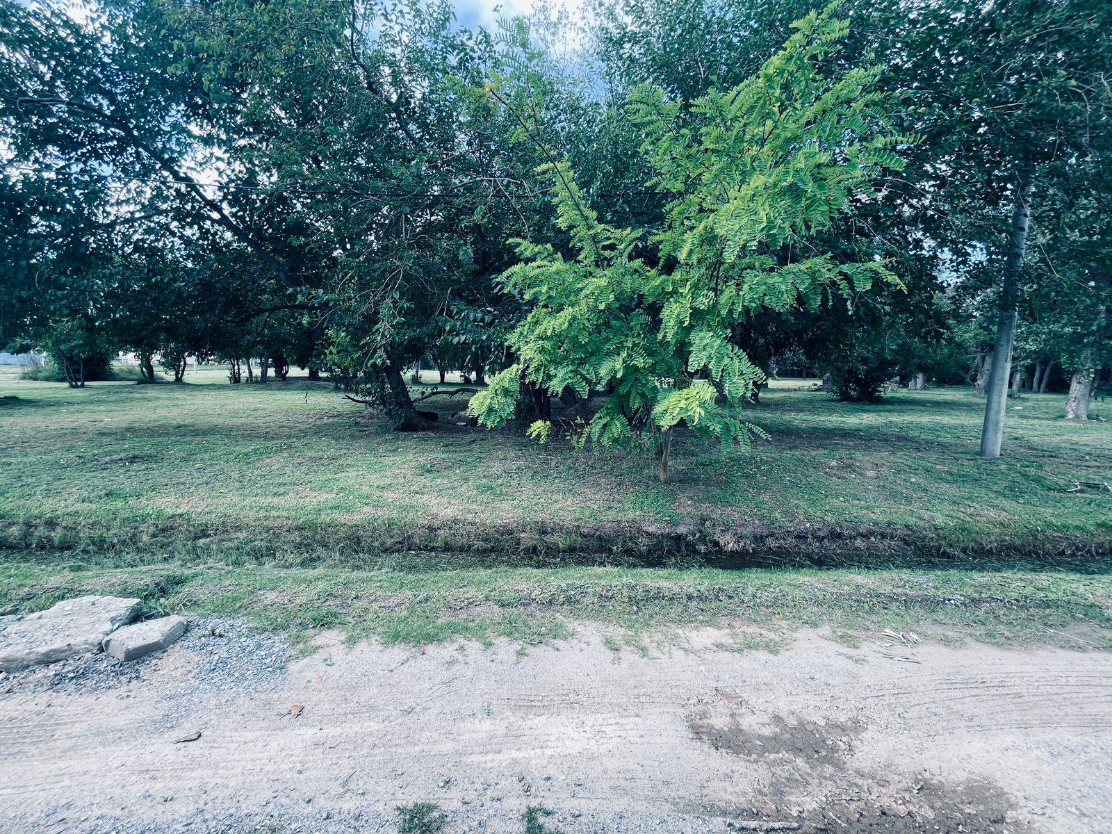 image 18