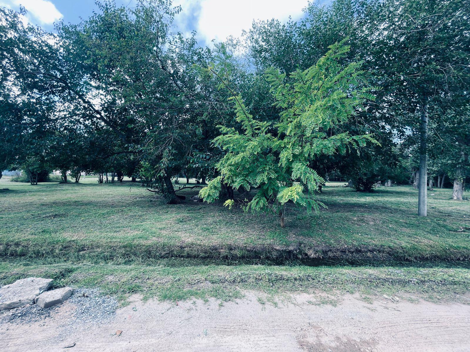 image 21
