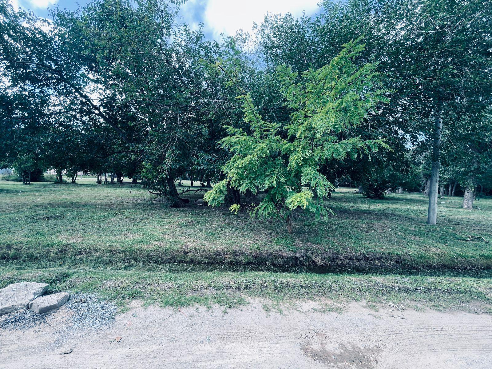 image 22