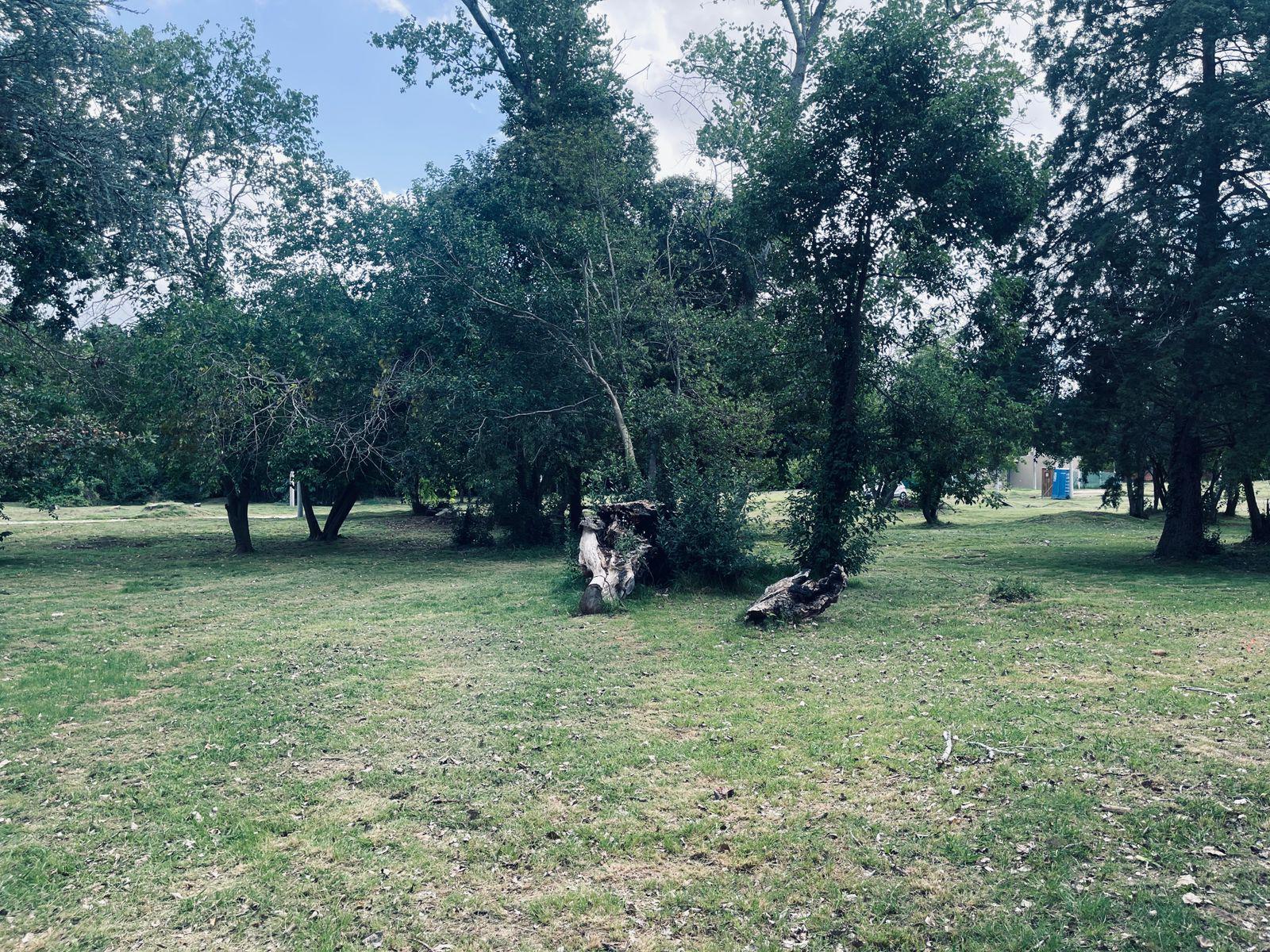 image 23