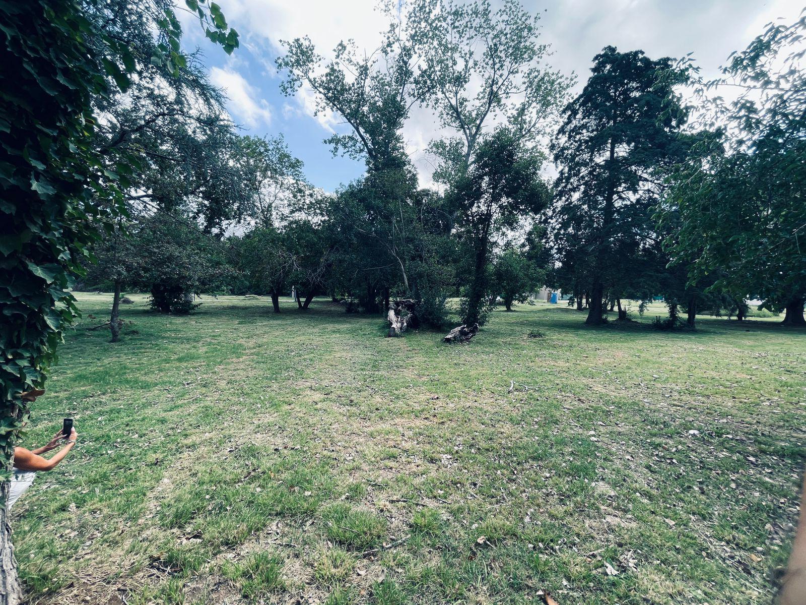 image 25