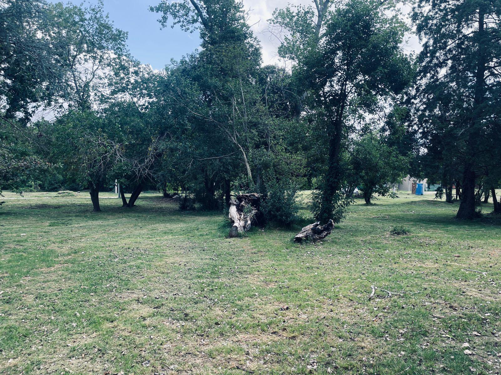 image 26