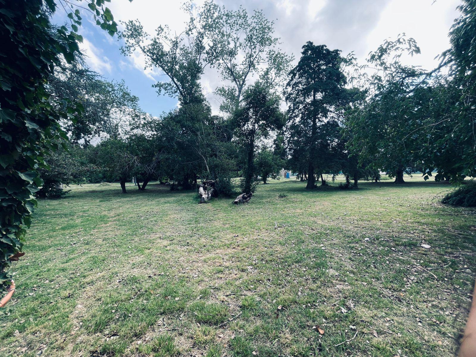 image 30