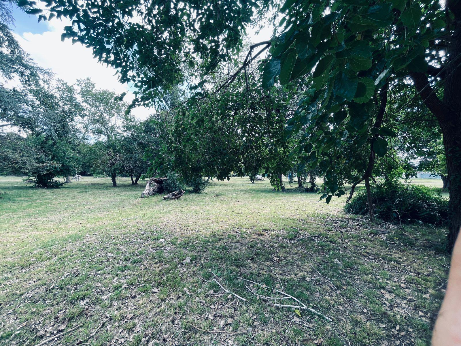image 31