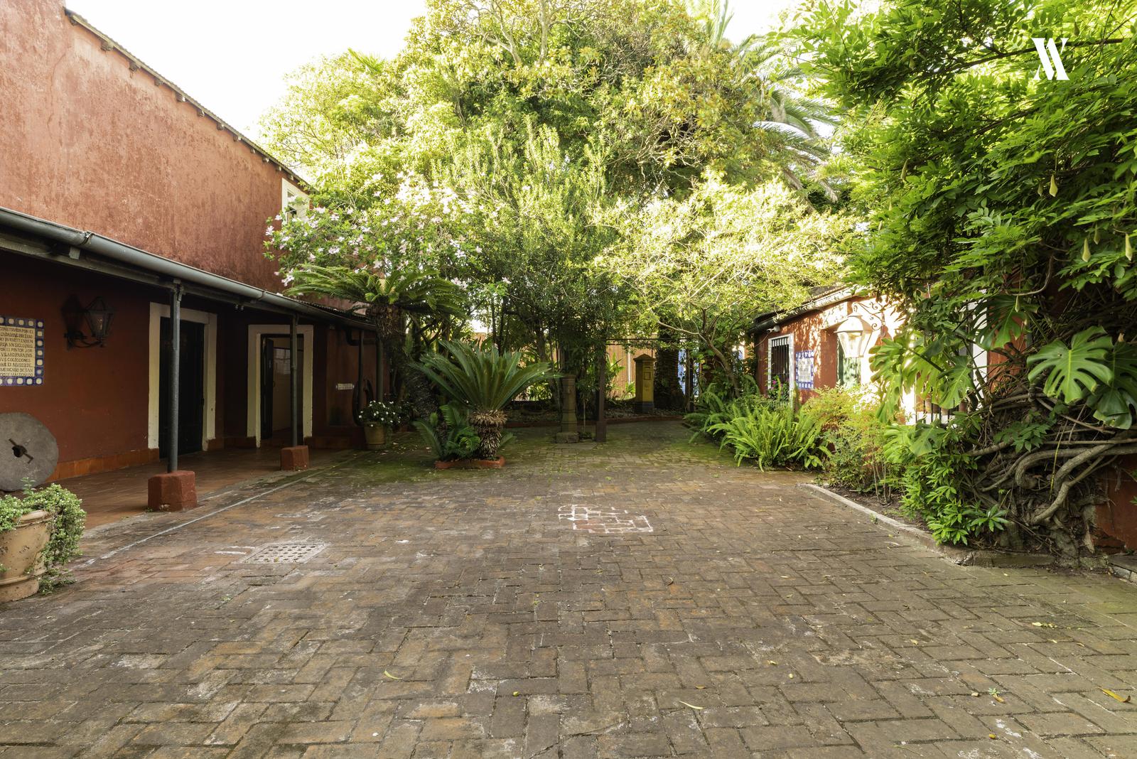 image 22