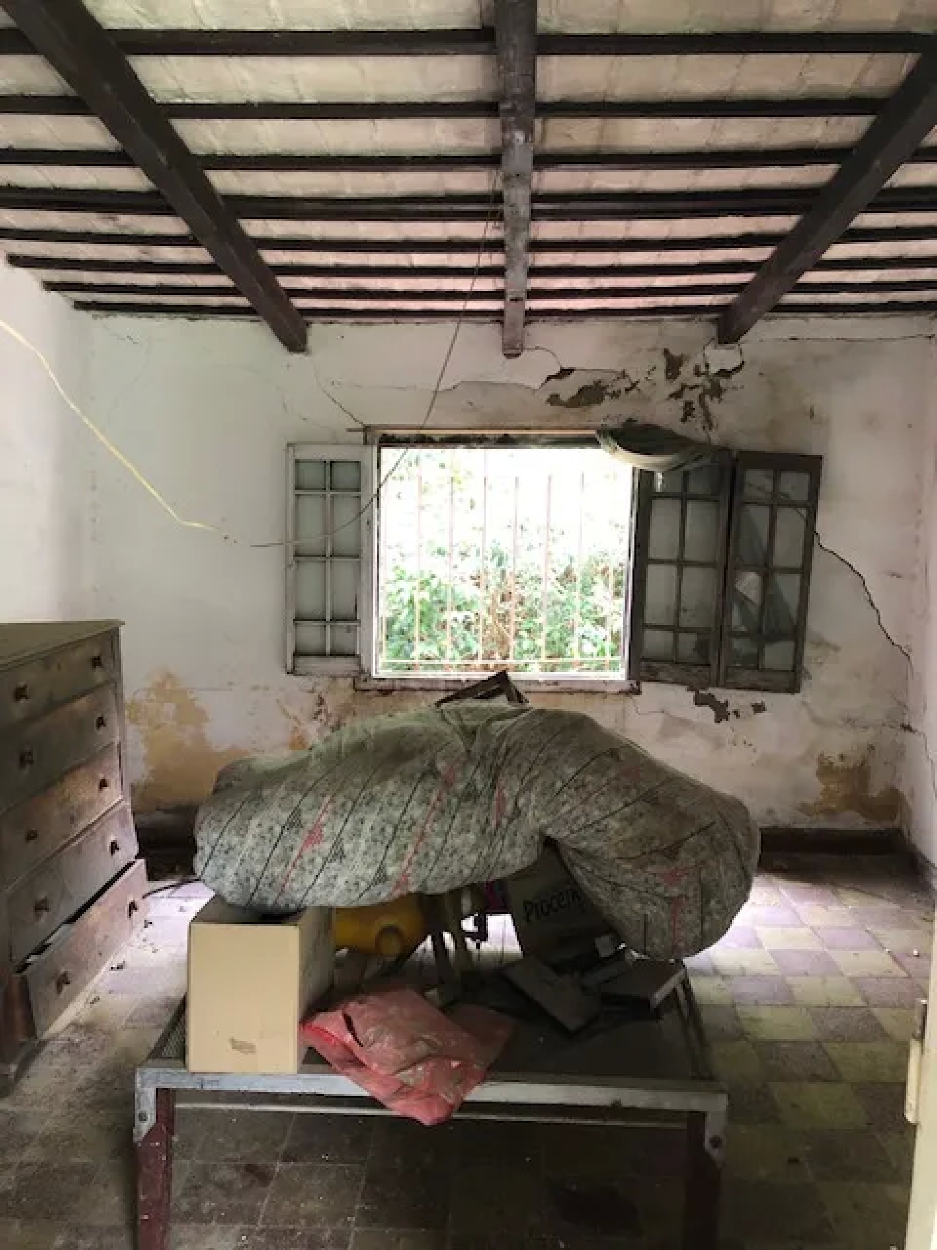 image 23