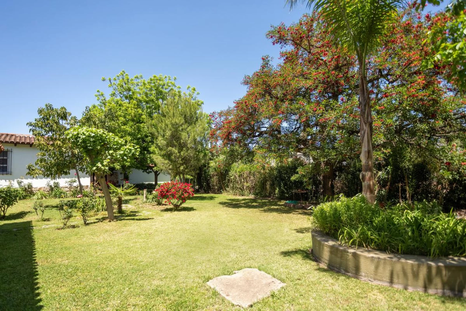 image 65