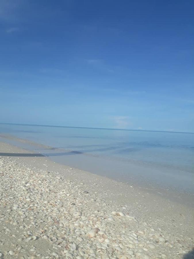 image 17