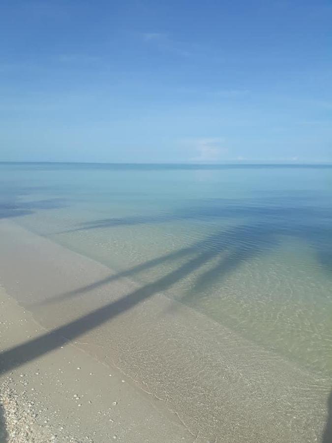 image 18
