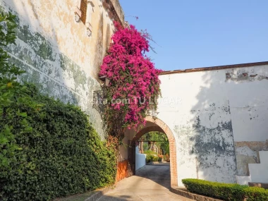 Propiedad en venta en Mayorazgo, Puebla