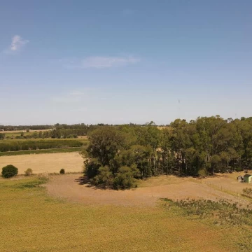 Venta de terreno de 1 hectárea Colonia del Sacramento
