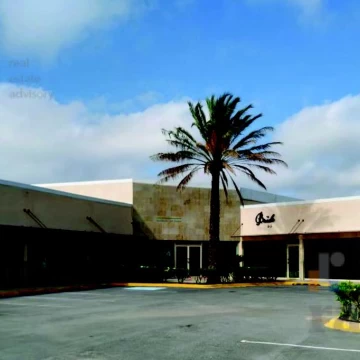 Local - Renta - Plaza Los Naranjos