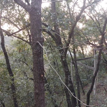 1712127934.jpg