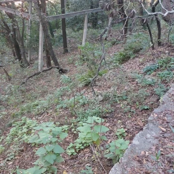 1712127935.jpg