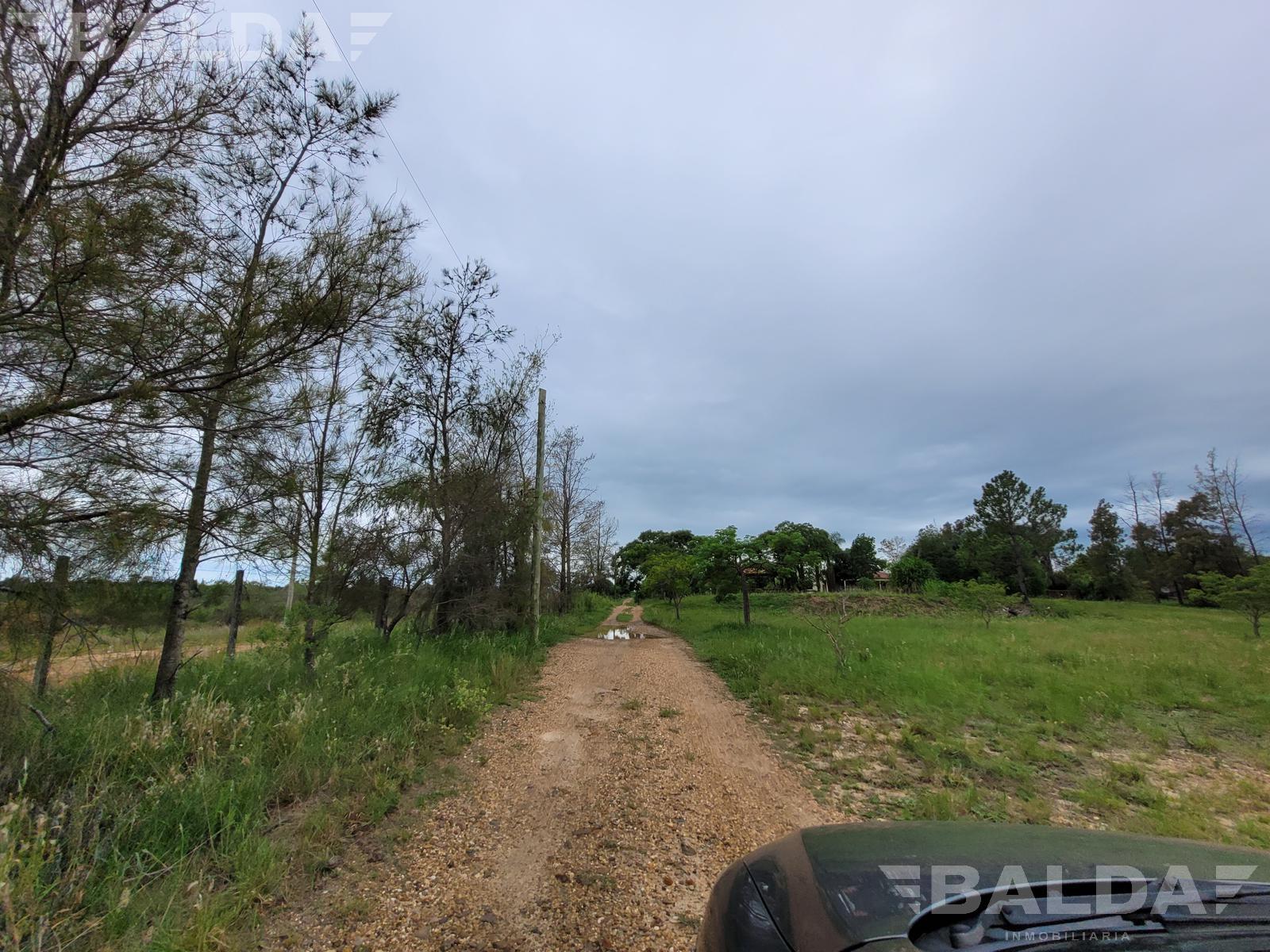 image 29