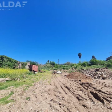 Terreno en Arregui 50