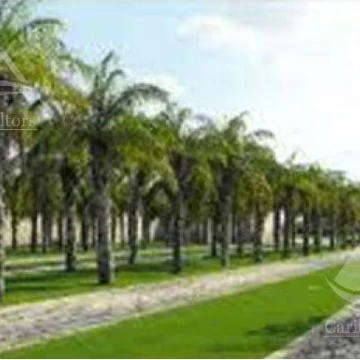 Terreno en venta en Tulum / Riviera Tulum KSA1250