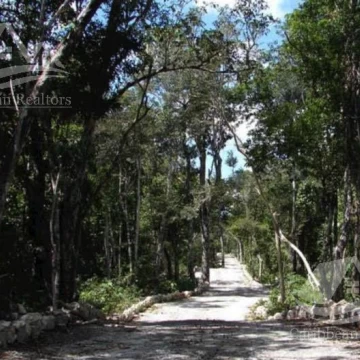 Terreno en Venta en Tulum/ Aldea Coral/ Chemuyil Predio Azteca/Riviera Maya KSA1517