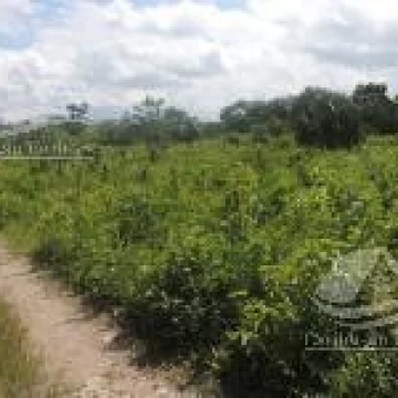Terreno en Venta en Cancun