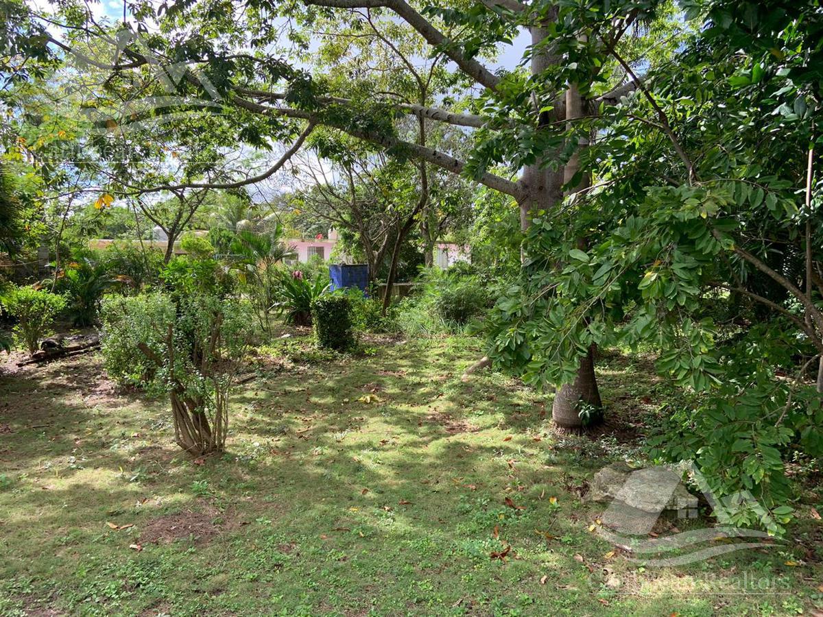image 14