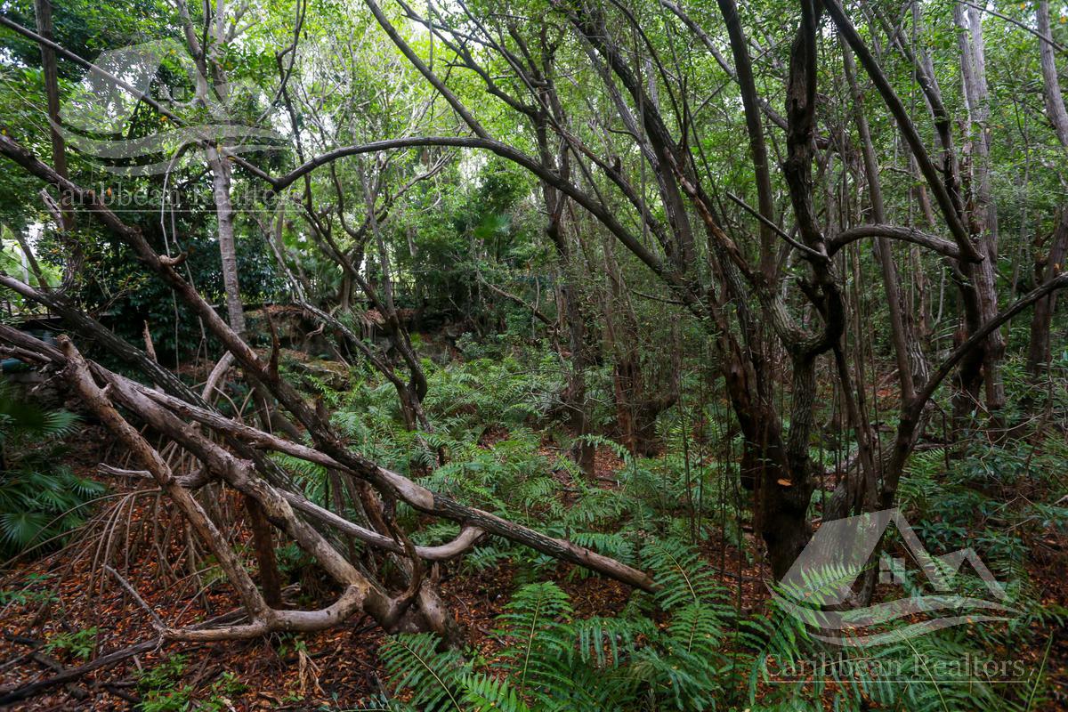 image 68