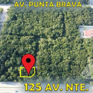 Terreno en venta en Playa del Carmen
