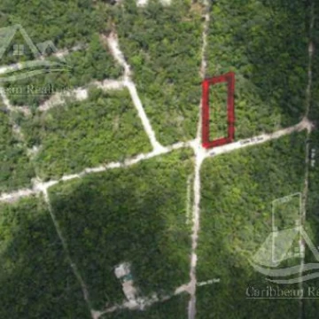 Terreno en  venta en Tulum Riviera Maya B-MBN6524