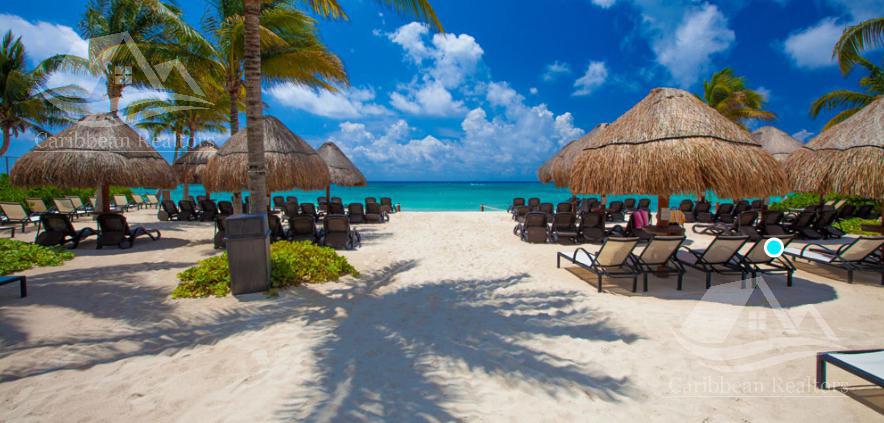 image 23