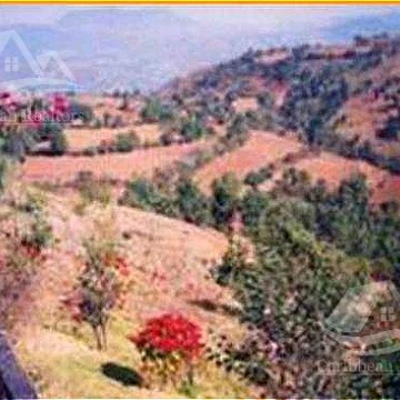 Rancho  en  Venta en Tenancingo estado de Mexico ALRZ7733