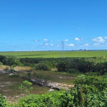 Terreno en Venta en Blvd Colosio Cancun