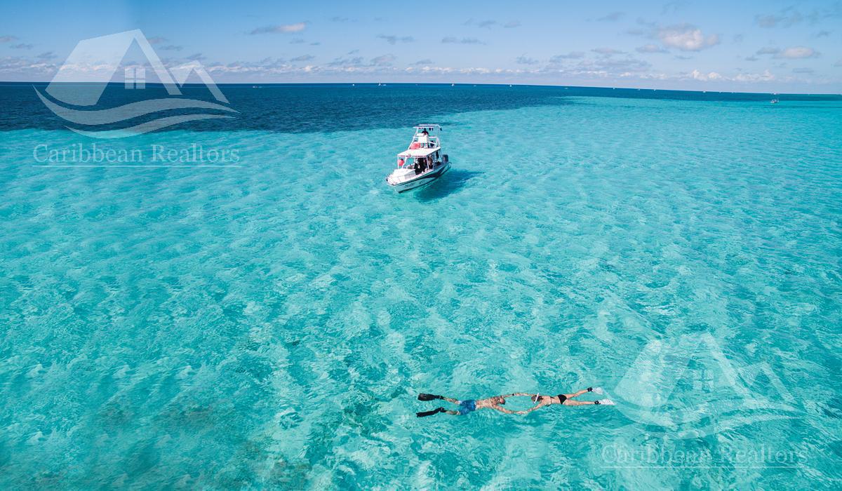 image 32