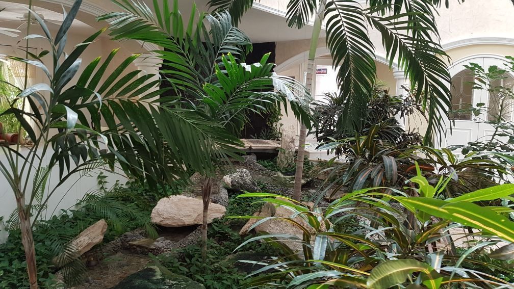 jardin