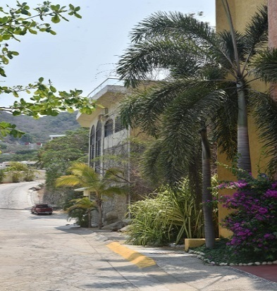 image 45