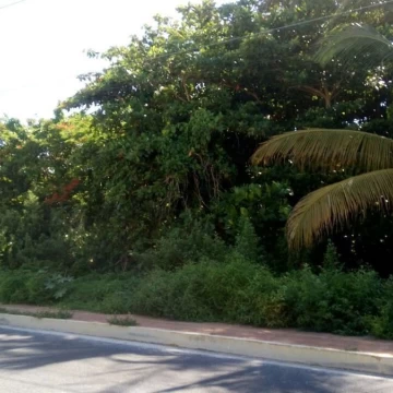 Terreno en venta Punta Sam, Quintana Roo