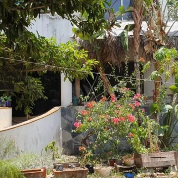 Terreno con desarrollo en venta, Tulum