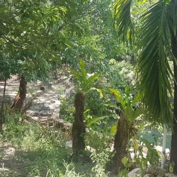 Terreno con Cenote en Venta al Sur de Cancun