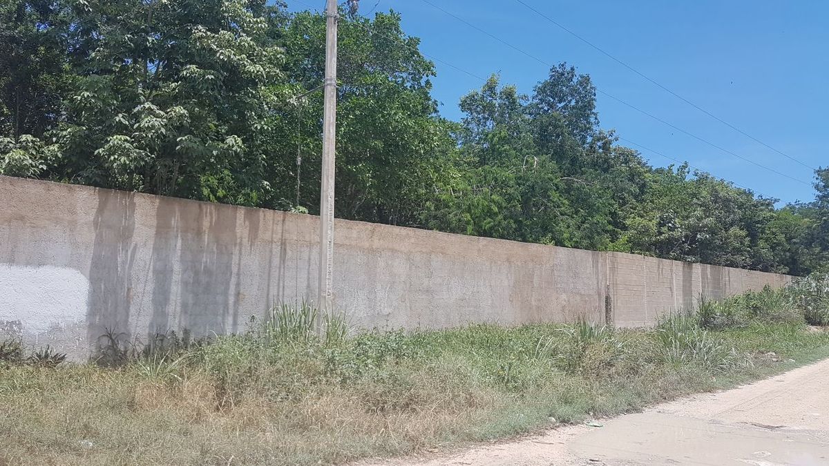 terreno en venta cancun con cenote